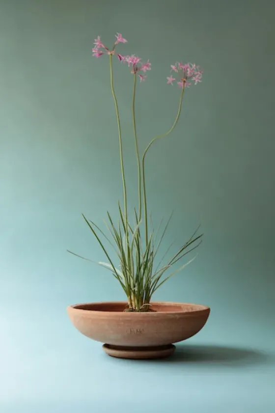 Online - ruukku Ada RAW Rosa, Ø 30 cm Ruukut Ja Maljakot