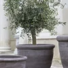 Best - ruukku Campana RAW Grey, Ø 60 cm Ruukut Ja Maljakot