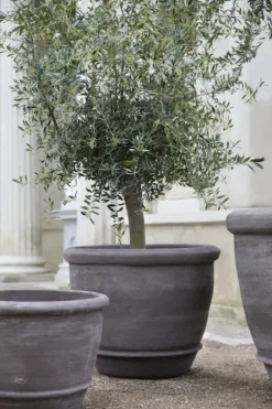 Best - ruukku Campana RAW Grey, Ø 60 cm Ruukut Ja Maljakot