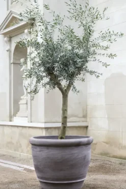Best - ruukku Campana RAW Grey, Ø 60 cm Ruukut Ja Maljakot