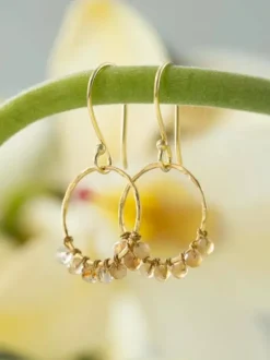 Sale Compassion Citrine GP korvakorut Korvakorut