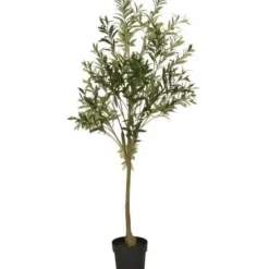 Hot Ib Laursen - Oliivipuu L h166cm Piha Ja Terassi|Oliivipuut