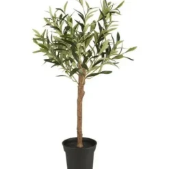 New Ib Laursen - Oliivipuu S h75cm Piha Ja Terassi|Oliivipuut