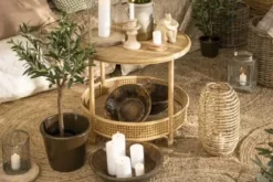 New Ib Laursen - Oliivipuu S h75cm Piha Ja Terassi|Oliivipuut
