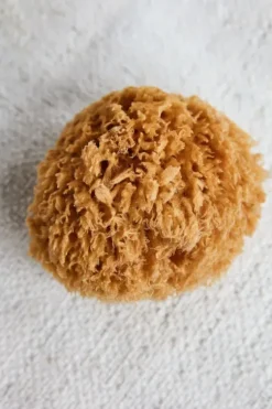 Clearance - pesusieni, Sponge Bahamas Kylpyhuonetarvikkeet