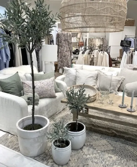 Best Oliivipuu H44cm Piha Ja Terassi|Oliivipuut