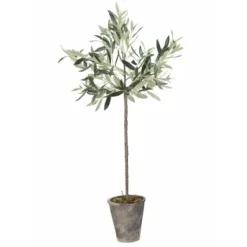 Oliivipuu H73cm Piha Ja Terassi|Oliivipuut