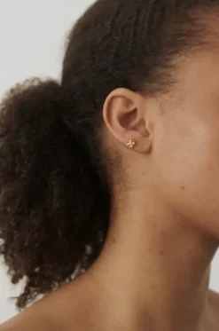 Online - Anemone Helix Piercing, hopea Korvakorut