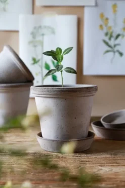 Discount Ruukku Flora RAW Grey, Ø 35 cm Ruukut Ja Maljakot