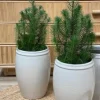 Online - Korkea ruukku 33cm, valkoinen Piha Ja Terassi|Ruukut Ja Maljakot