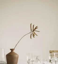 New – lasi, pieni Astiat