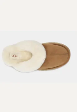 Best - Disquette Slipper, chestnut Tohvelit|Ugg